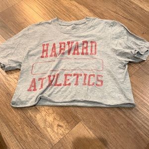 Harvard Cropped shirt